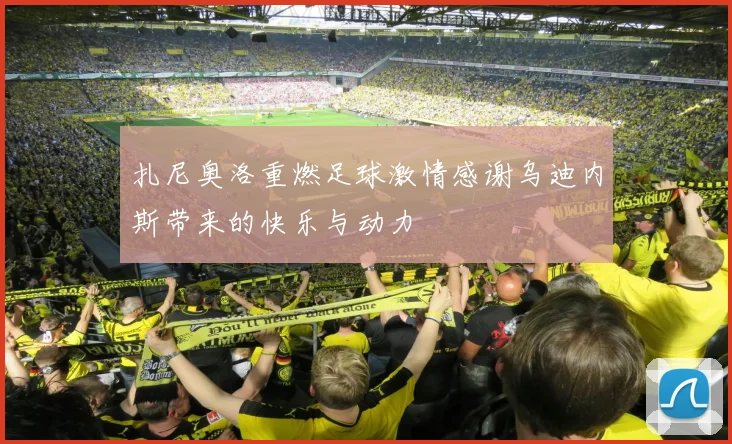 扎尼奥洛重燃足球激情感谢乌迪内斯带来的快乐与动力